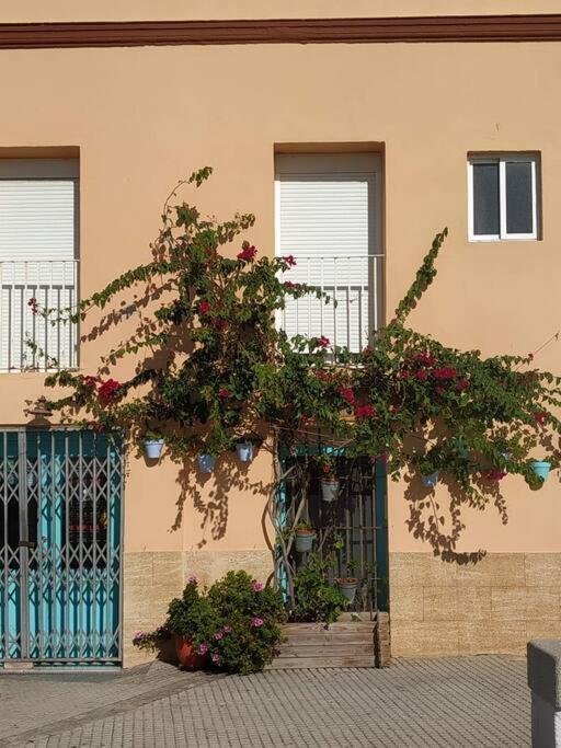 Apartamento Las Canastas Cadiz Centro Exteriör bild