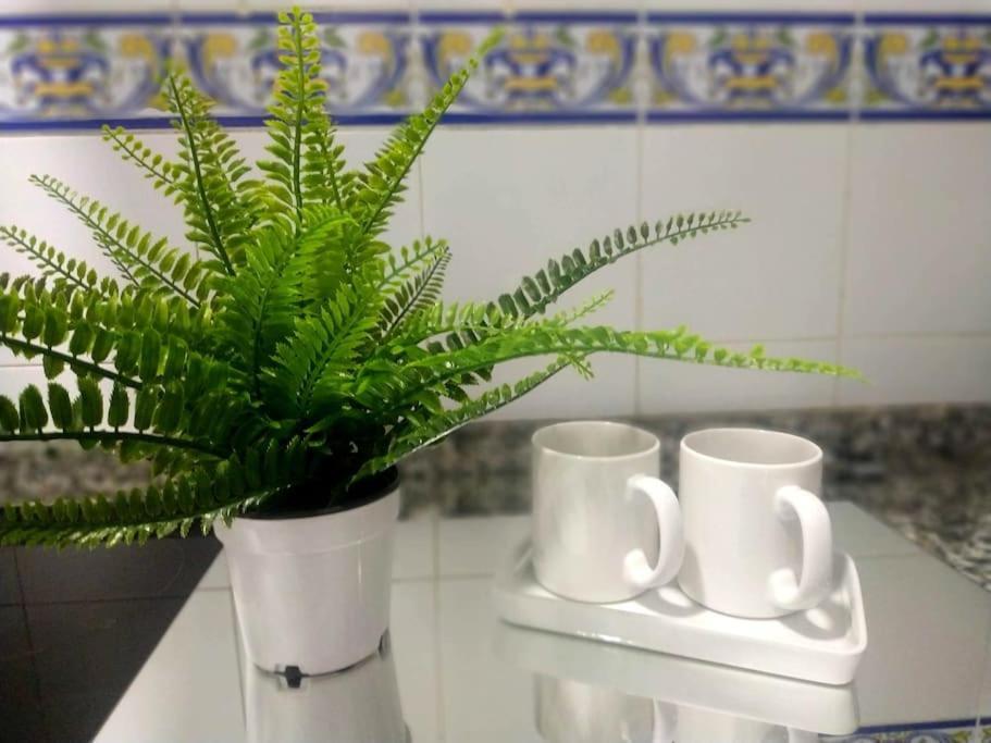 Apartamento Las Canastas Cadiz Centro Exteriör bild